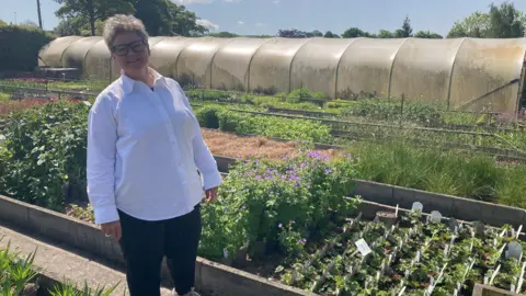 Sue Jeffrey is operations manager at David Ross Nurseries. She is standing in the nurseries in front of beds of plants and a poly-tunnel.