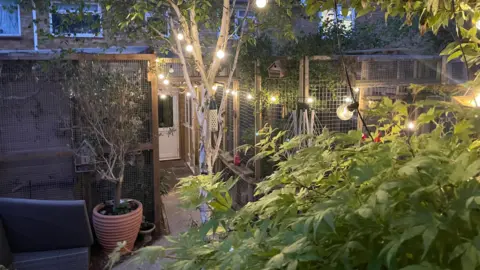 Lisa-Marie Bearman Lisa-Marie's back garden. Both the left and right side of her garden contain monkey enclosures. There are bulb fairy lights strung up and green leaves in the foreground of the picture.