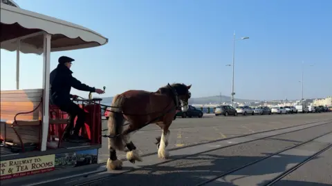 The front end of a tram being pulled by a chestnut and white horse. Double tram tracks run ahead into the distance with blue sky overhead.