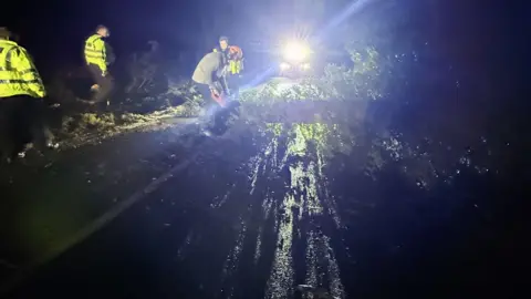 James Hoare A man cutting a tree on a road, with car lights in front and three police officers in high-vis jackets by him. The image is dark as it is taken at night. 