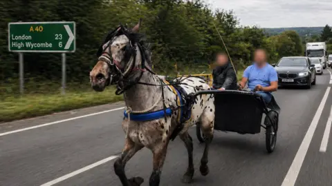 A white and black pony trotting along the A40 pulling a wheeled cart carrying two people. Their faces are blurred.