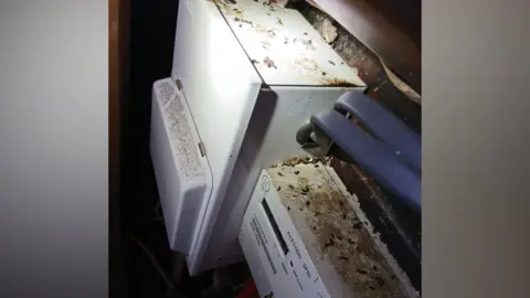 Portsmouth City Council Images of mouse droppings on surfaces and equipment.