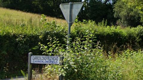 Carricklongfield Road road sign