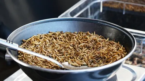 Getty Images Fried mealworms