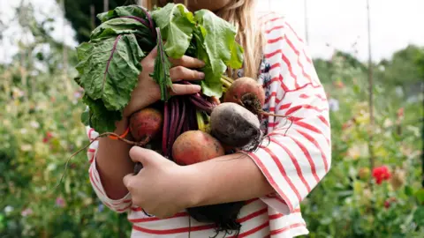 A girl in a red stripy t-shirt is holding root vegetables harvested from an allotment.