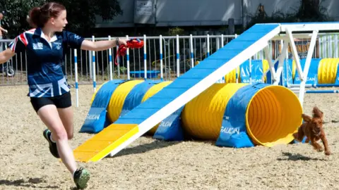 Taylor, in a field with her dog, who is running. Taylor has one arm out. They are by a yellow and blue tunnel and a fence. There is sand on the ground and a metal barrier behind them. 