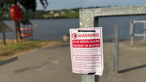A white poster with red writing has been stuck to a metal pole. It reads: "Blue green algae present in water". The lake is visible behind the poster.