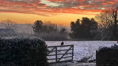 BBC Weather Watchers/Sharon1r A field is covered lightly in snow and a wooden gate is open half way into the field. Trees surround the field and a bird is perched on the gate. An orange sunrise fills the sky.