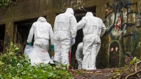 Four people in white forensic suits inspect an area of ground under an abandoned bunker at a nature reserve.