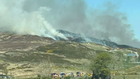 Smoke is rising from a mountain. Several fire engines are parked. Some trees and yellow bushes are growing. A few buildings are in the distance. 