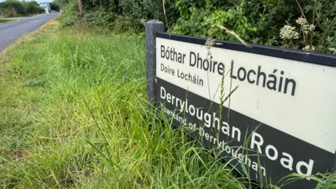 Black and white sign of Derryloughan Road on grass.
