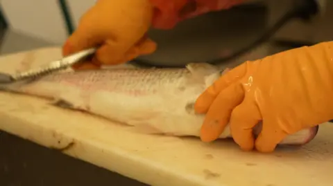 A fish being de-scaled by a person wearing yellow rubber gloves. 