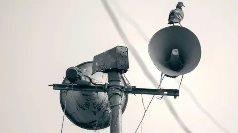 A megaphone loudspeaker placed on the pole to spread message with a bird sitting on it.