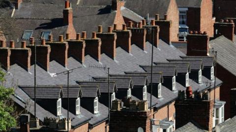 Rows of chimneys and roofs on houses