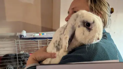 A woman with blonde hair holding a white rabbit with grey flecks in its fur. In the background isa cage with another dark grey rabbit inside