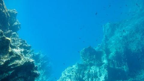 A photograph taken under water of fish swimming around rocks.
