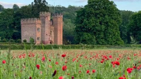Poppies in a field in front of Lullingstone Castle