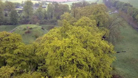 Video2web Berkhamsted Castle