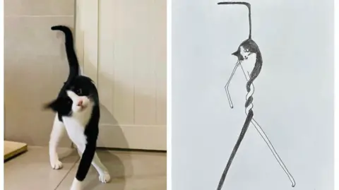 A black and white cat with legs crossed and tail in the air (left) and Hercule Van Wolfwinkle's caricature of the cat on the right