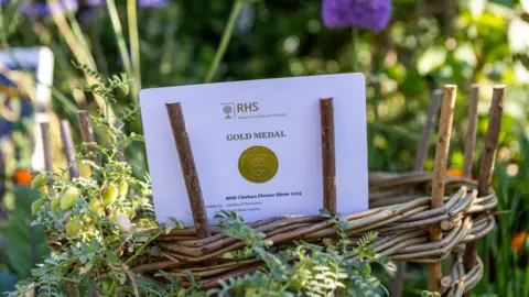 Gates Archive/Emma Jacobs A small cardboard sign on a wicker basket which has the inscription Gold Medal - RHS Chelsea Flower Show 2025