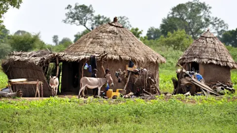 Getty Images A traditional Fulani village in Mali