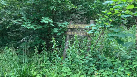 A wood sign marking the entrance to Sellers Wood. It is overgrown with weeds and brambles.