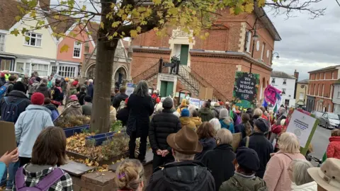 Climate change protest, Woodbridge