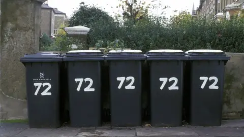 Getty Images Five wheelie bins all belonging to one property