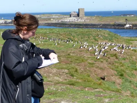 PA Media Ranger Harriet Reid on the Farne Islands