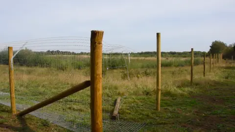 Nottinghamshire Wildlife Trust Enclosure for beavers