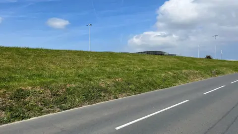 A grassy hill.