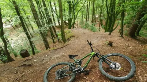 A green mountain bike laying on the ground at the top of a hill in the middle of a forest