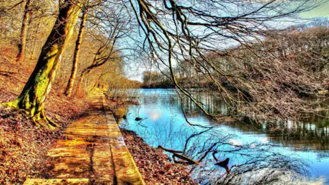 Getty Images A quiet path runs alongside a reservoir, with bare trees on both sides. Fallen leaves cover the ground, and the still water reflects the trees and sky.