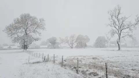 One Man Marvel A snow covered field, with bare trees.