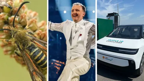 Composite image, featuring a rare yellow and black moth on a plant on the left, comedian Chris McCausland in a white suite performing on Strictly Come Dancing (centre) and on the right a white car