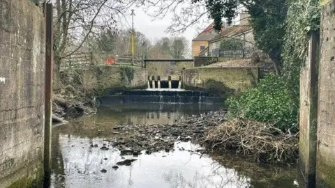 A view of a river lock. The river is low and branches and rockery can be seen in the water. The lock is at the back of the photo with a number of houses to the right behind it. 