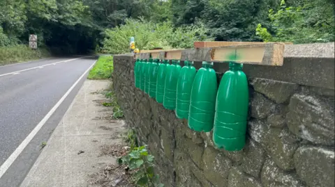 A plank of wood is attached to a stone wall besides a road. Ten green plastic bottles are suspended from the plank. They appear to be painted green. 