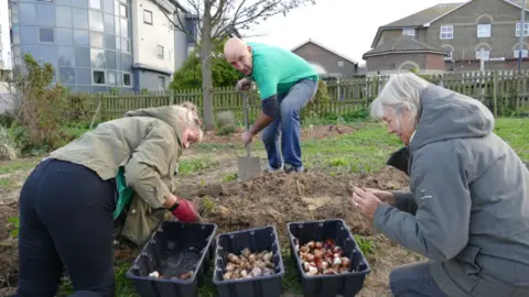 Frank Leppard Three people digging and planting bulbs in a public garden in Margate