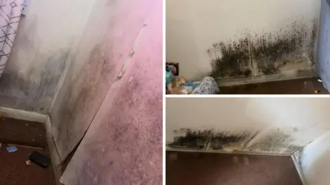 Supplied Black mould in on the walls of a property