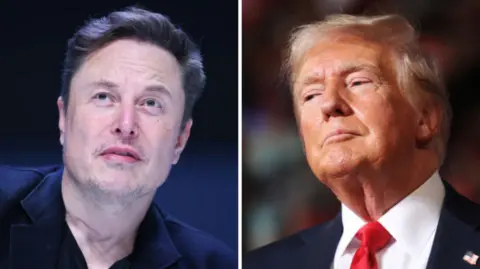 Getty A composite image showing a photo of Elon Musk on the left and a separate photo of Donald Trump on the right. Musk is wearing a black suit with an open collar. Trump is wearing a dark suit with a red tie.