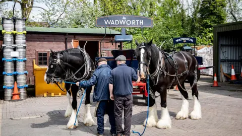 Leo Collier-Bett Two harnessed black shire horses in front of large Wadworth-branded cart. They are in an outdoor area on a sunny day, beer barrels and outbuildings are in the background.