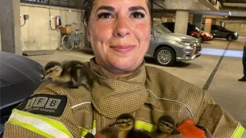 London Fire Brigade A firefighter holds three ducklings