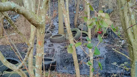 A view of woodland with many thin trees dotted around and dead leaves on the ground. The tree in the foreground has green leaves and red berries. The woodland rises up a steep slope, which is covered in thick black oil and about 15 black car tyres.