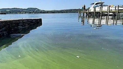 Green water in Lake Windermere