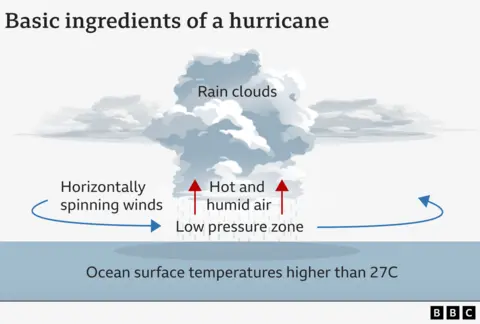 An illustration of the ingredients usually needed to make a storm. It includes sea surface waters warmer than 27C, and rotating horizontal winds.