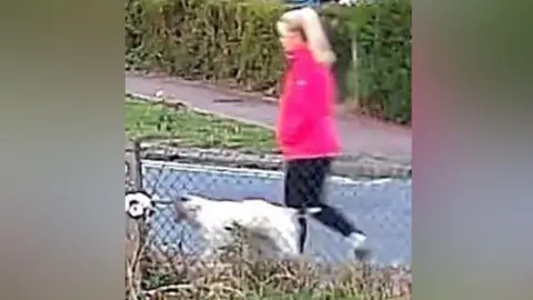 Suffolk Police Anita Rose walking her dog in the village