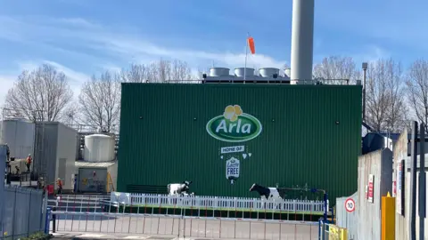 Cathy Killick/BBC A green factory building with Arla's logo on it. Some plastic cows stand in front of it and behind a barrier which appears to block access to vehicles.