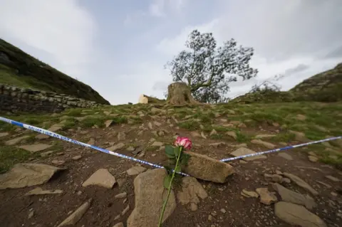 PA Media A rose with police tape next to the tree