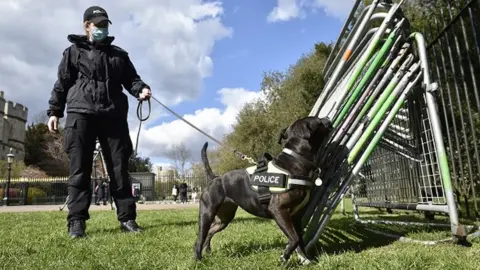 Thames Valley Police Sniffer dog