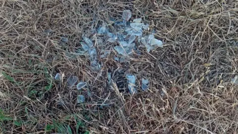 Thetford Town FC A small pile of glass shards on a grass surface.